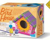 Paint a Birdhouse