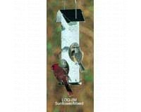Birch Log ï¿½ Mixed Seed