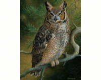 Twilight Sentinel Puzzle 300 pcs