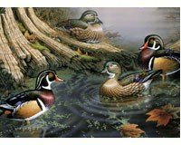 Wood Ducks Puzzle