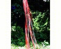 Rainbow Windsock Red Silver