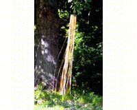 Rainbow Windsock Gold Silver