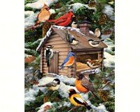 Log Cabin Birdhouse