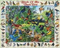 Birds of Backyard 1000 piece Puzzle