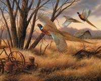 Prarie Wings 1000 piece Puzzle