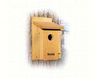 Bluebird House4
