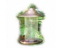 Coppertop Sunflower Tube Fdr