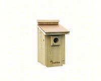 Coppertop Bluebird House
