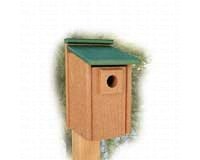 Going Green Bluebird House