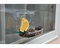 Window Treat Feeder