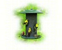 Green Steel Magnum Thistle Feeder