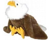 Bald Eagle 12 inch