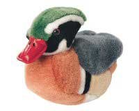 Wood Duck