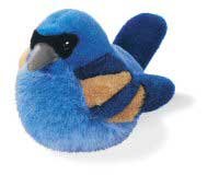 Blue Grosbeak