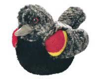 Red Winged Blackbird