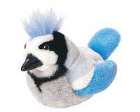 Blue Jay