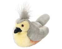 Titmouse