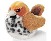 Wood Thrush