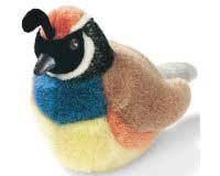 Quail