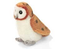 Barn Owl