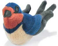 Barn Swallow