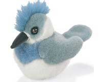 Belted Kingfisher