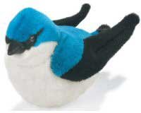 Tree Swallow