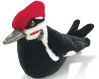 Pileated Woodpecker