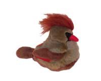 Female Cardinal