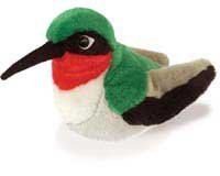 Ruby Throated Hummingbird
