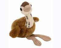 Baby Ostrich