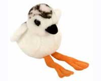 Baby Piping Plover